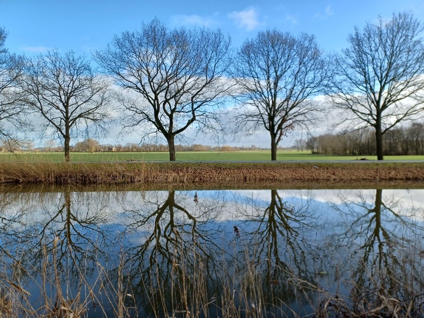 Zicht op agrarisch gebied vanaf het Jaagpad, over het Apeldoorns Kanaal (in oostelijke richting)