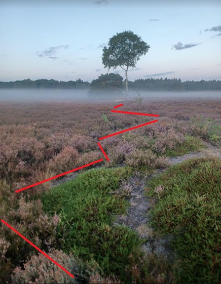 Zigzaggend patroon in de Renderklippen met nadere duiding (rechts)