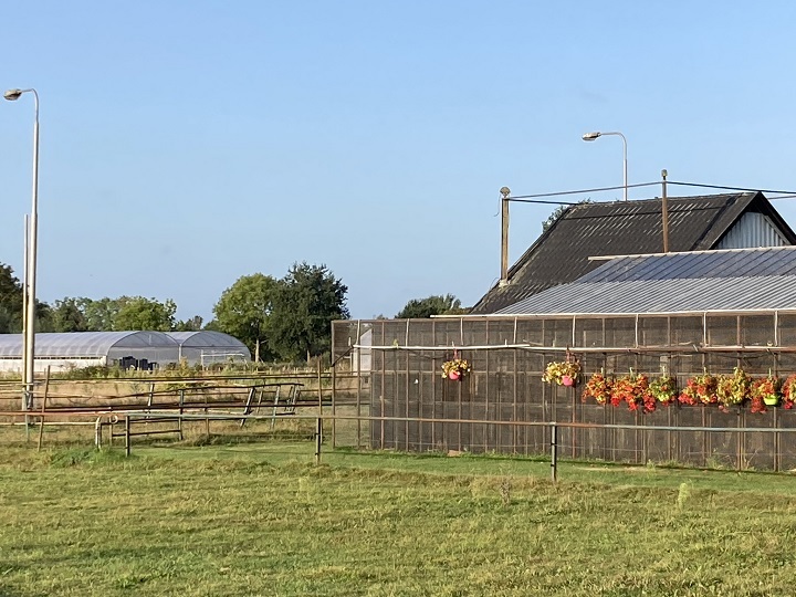 Kerkdijk borchgraverweg