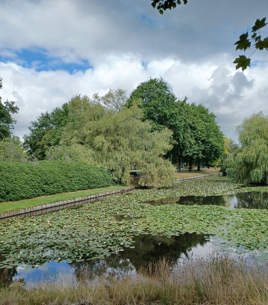 Onderbroken zichtlijn naar de Noordgouw aan de Eperweg (in noordelijke richting, langs Heerderhaegen)